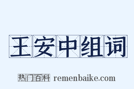 王安中组词是什么意思的图片